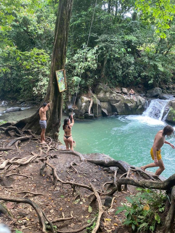 Coati Del Arenal Posada La Fortuna المظهر الخارجي الصورة