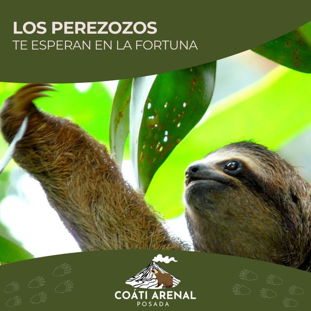 Coati Del Arenal Posada La Fortuna المظهر الخارجي الصورة