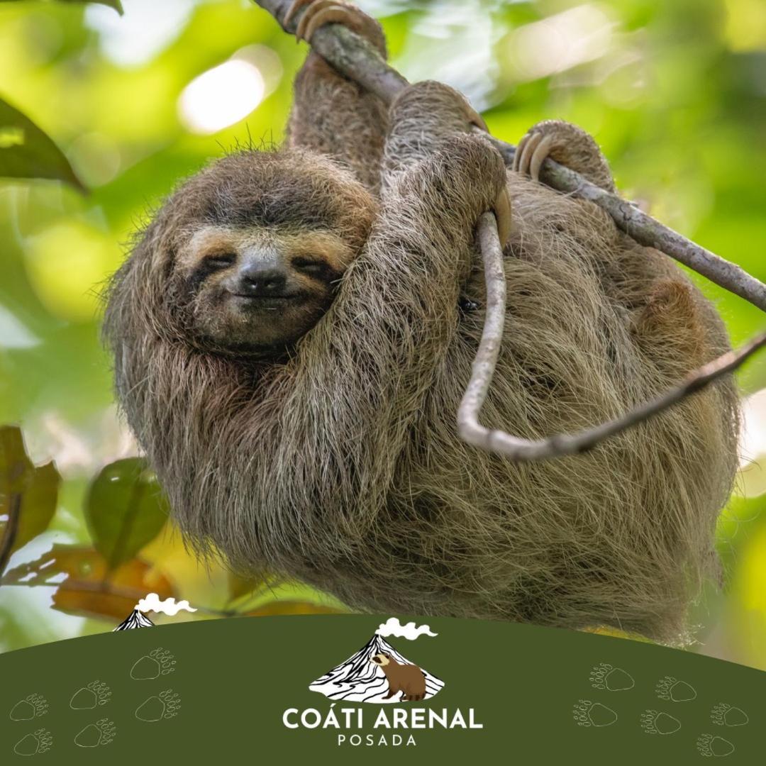 Coati Del Arenal Posada La Fortuna المظهر الخارجي الصورة